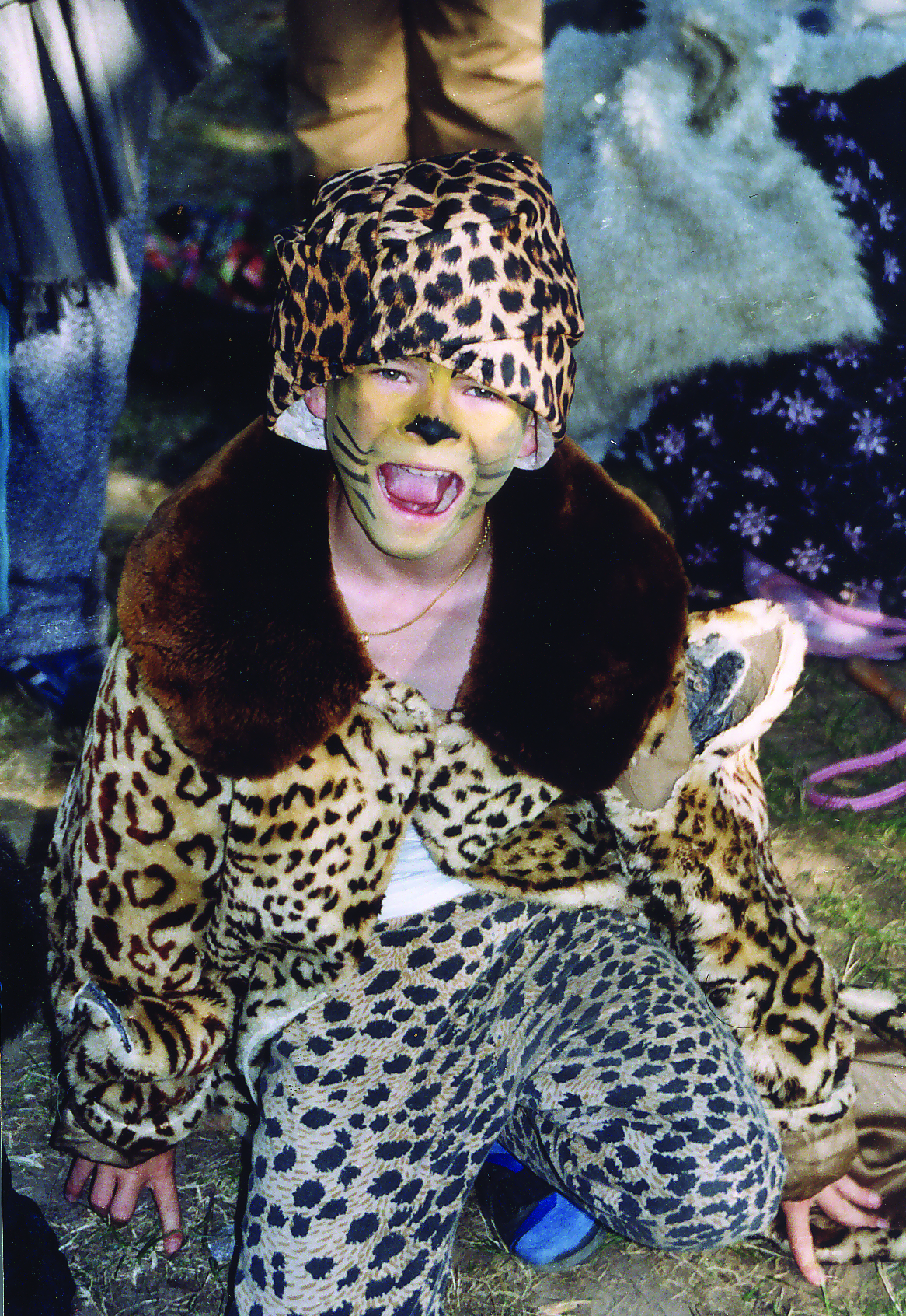 ein starker tiger